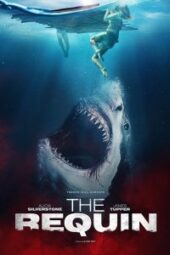 The Requin (2022) - IMDb
