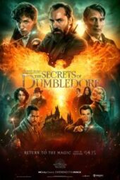 Fantastic Beasts: The Secrets of Dumbledore (2022) - IMDb