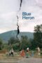 Poster Nonton Film Blue Heron (2026) Sub Indo
