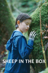 Poster Nonton Film Sheep in the Box (2026) Sub Indo